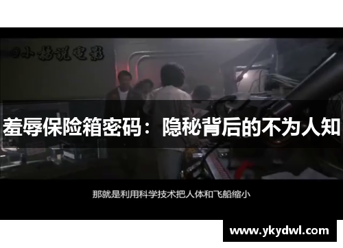 羞辱保险箱密码：隐秘背后的不为人知