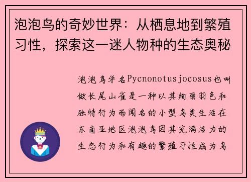 泡泡鸟的奇妙世界：从栖息地到繁殖习性，探索这一迷人物种的生态奥秘