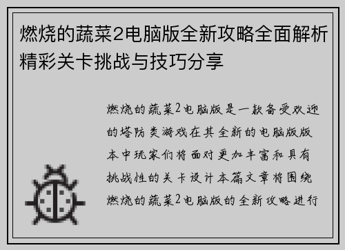 燃烧的蔬菜2电脑版全新攻略全面解析精彩关卡挑战与技巧分享
